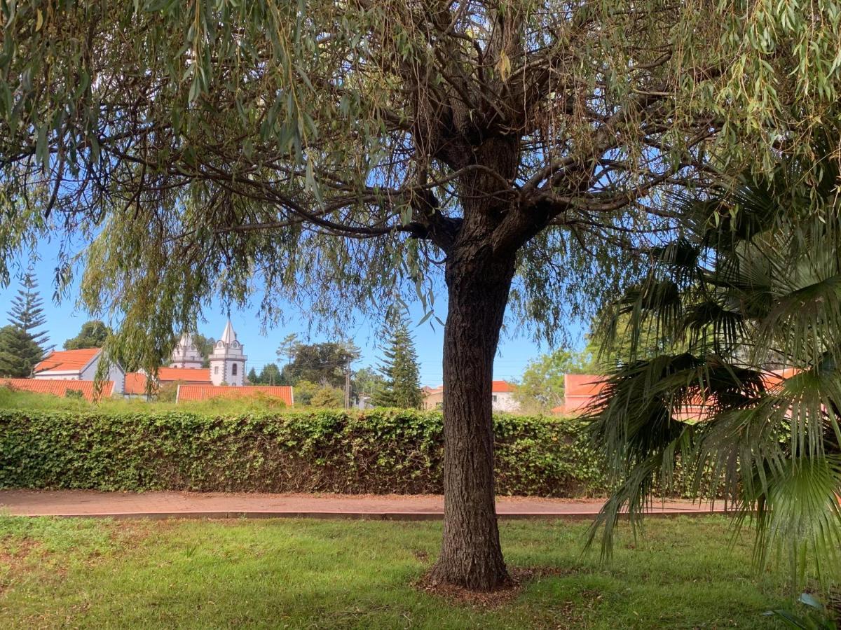 Casa De Cha Prazeres Hostel Kültér fotó